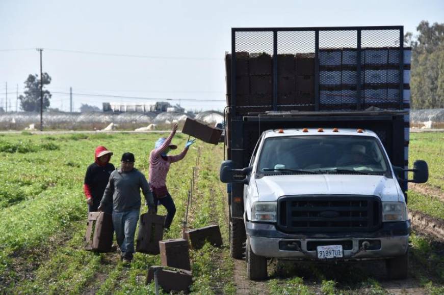 Líderes demócratas reivindican a los empresarios latinos como motor de la economía de EEUU