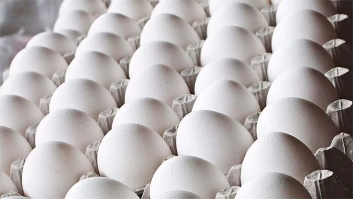 Precio de cartón de huevos llega a 100 lempiras en la capital tras dos meses sin variaciones