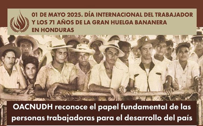 OACNUDH pide a Honduras fortalecer marcos legales  e institucionales para garantizar el empleo digno